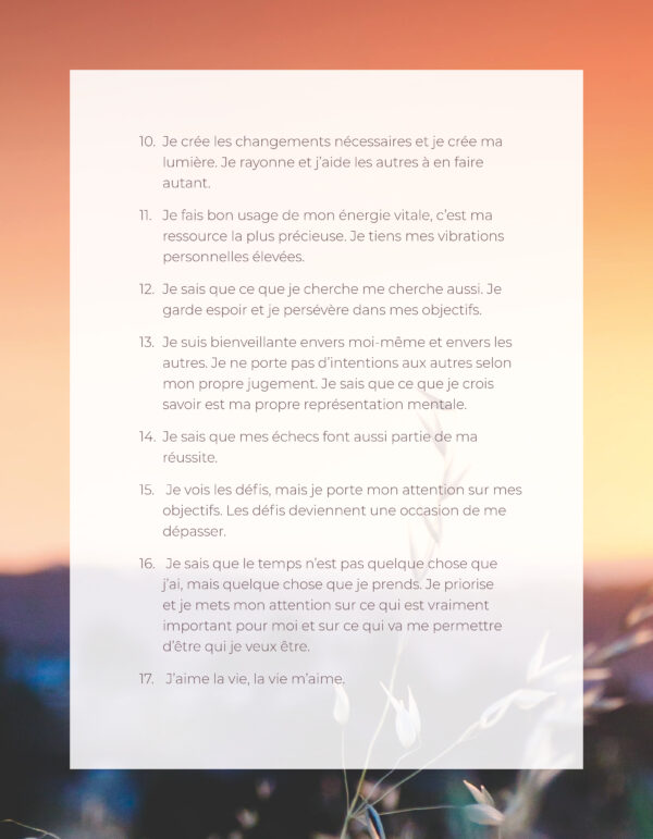 Planificateur d'intentions (agenda) – Image 30